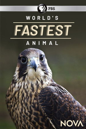 World's Fastest Animal World's Fastest Animal