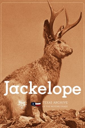 Jackelope Jackelope