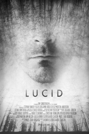 Lucid Lucid