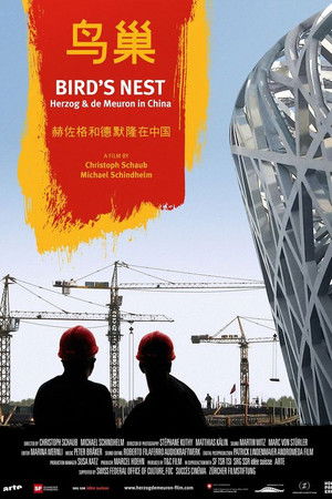 Bird's Nest - Herzog & de Meuron in China Bird's Nest - Herzog & de Meuron in China
