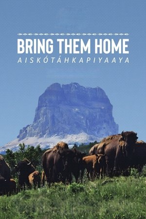 Bring Them Home Bring Them Home