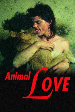 Animal Love Animal Love