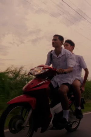 Sperm Budding Sperm Budding