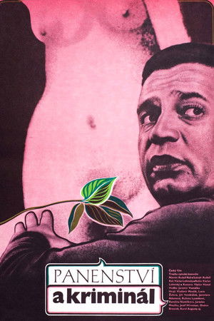 Panenství a kriminál