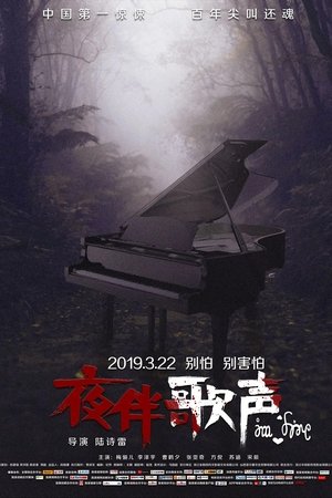 Midnight Melody Midnight Melody