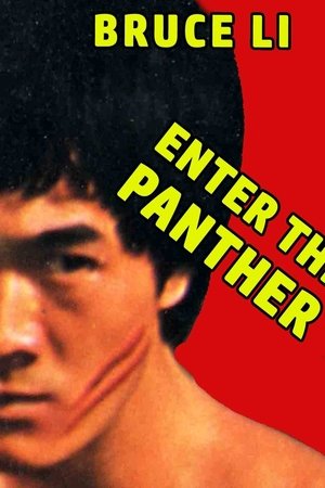 Enter the Panther Enter the Panther