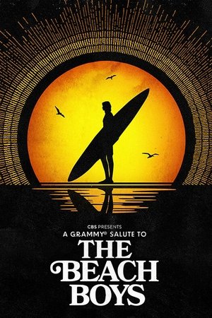 A Grammy Salute to The Beach Boys A Grammy Salute to The Beach Boys