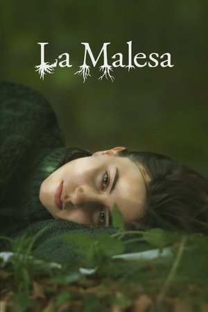 La Malesa La Malesa