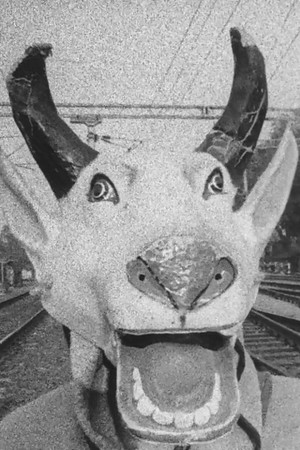 The Kali of Emergency The Kali of Emergency