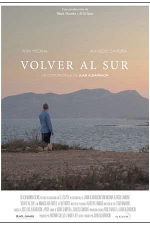 Volver al sur