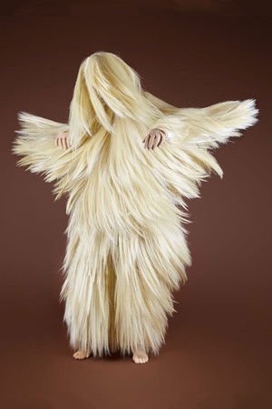 Plasma Vista Plasma Vista