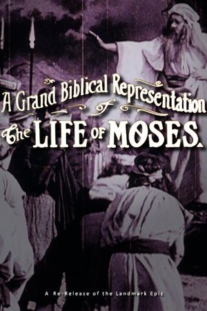 The Life of Moses The Life of Moses