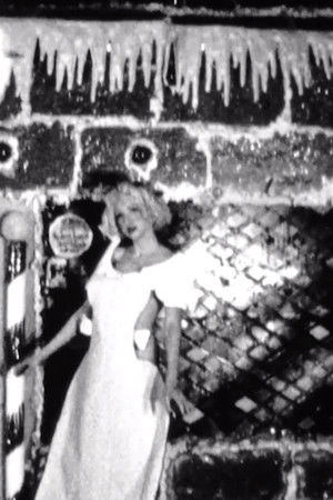 Spring and Winter Spring and Winter