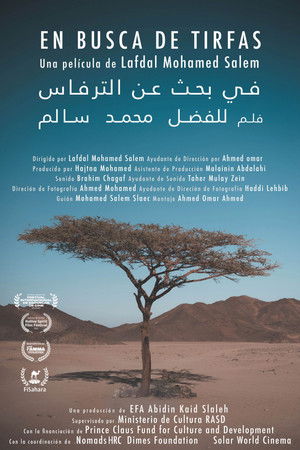 Searching for Tirfas Searching for Tirfas