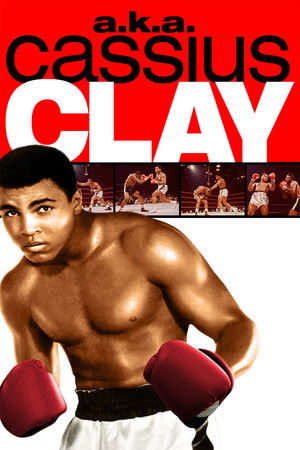 a.k.a. Cassius Clay a.k.a. Cassius Clay