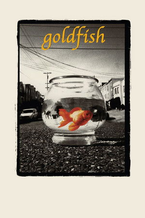 Goldfish Goldfish