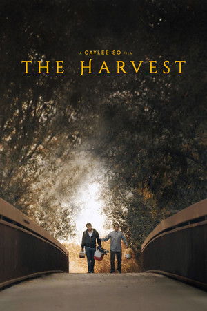 The Harvest The Harvest