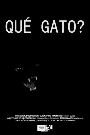 Qué gato? Qué gato?