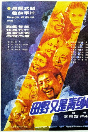 田野又是青纱帐