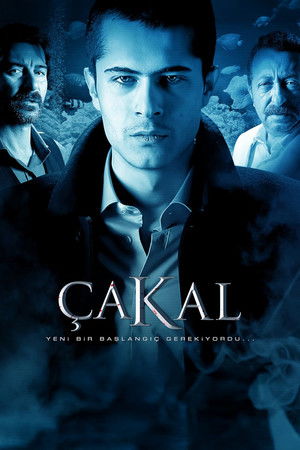 Çakal Çakal