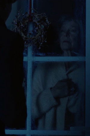 Winter Days Winter Days