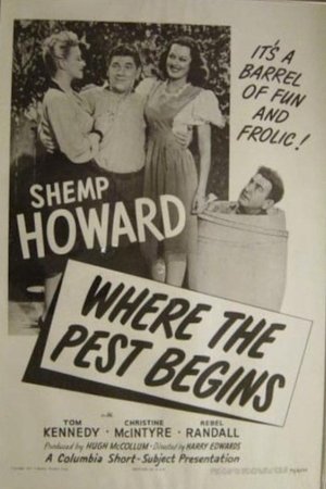 Where the Pest Begins Where the Pest Begins