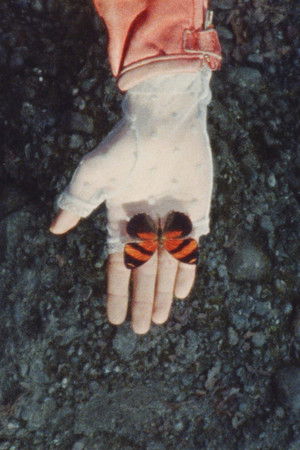 A Monster Called Love A Monster Called Love