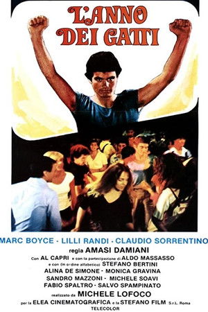 L'anno dei gatti