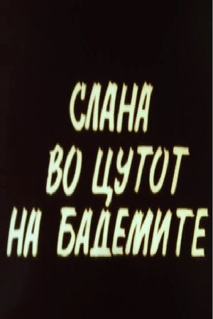 Hoar Frost at the Almond Blossoms Hoar Frost at the Almond Blossoms