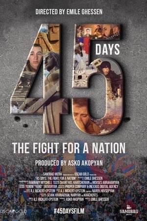 45 Days: The Fight for a Nation