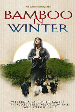 Bamboo In Winter Bamboo In Winter