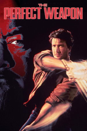 The Perfect Weapon The Perfect Weapon