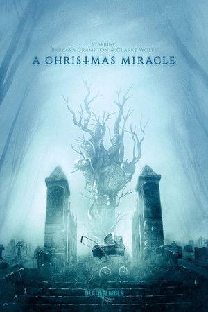 A Christmas Miracle