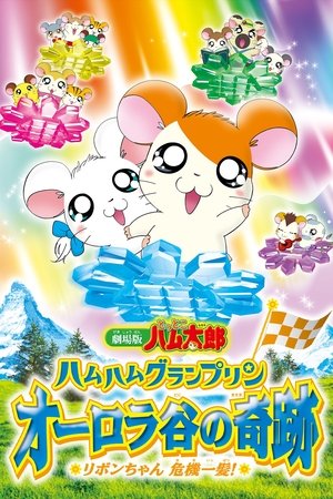 Hamtaro: Miracle in Aurora Valley Hamtaro: Miracle in Aurora Valley