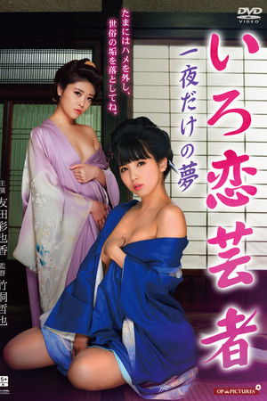 Hot Spring Geisha Pillow Performance in a Touring Tour Room Hot Spring Geisha Pillow Performance in a Touring Tour Room