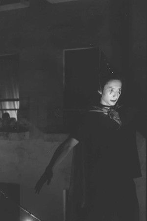 Amanita Muscaria Amanita Muscaria