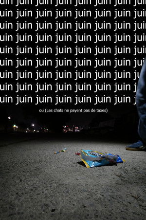 Juin ou  (Les chats ne payent pas de taxes)