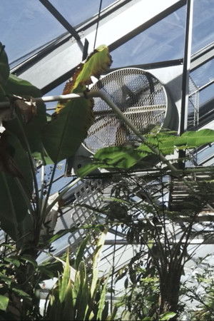 There are things in this world that are yet to be named There are things in this world that are yet to be named