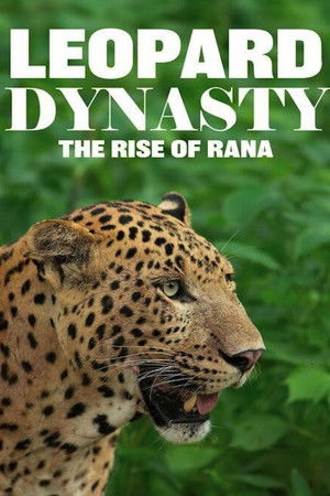Leopard Dynasty – The Rise of Rana