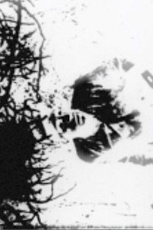 Speaking in Tongues: Take One Speaking in Tongues: Take One