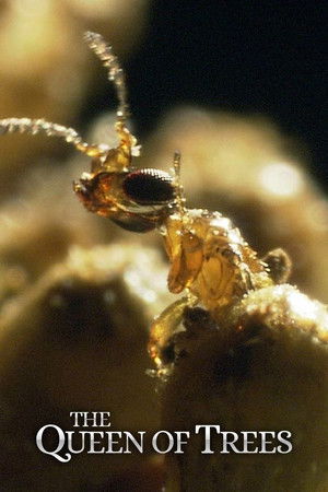 The Queen of Trees The Queen of Trees