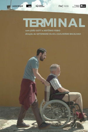 Terminal