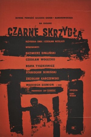 Czarne skrzydła Czarne skrzydła