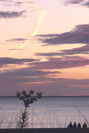 Bienadanza Bienadanza