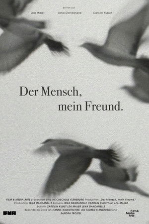 We Used to Be Friends.