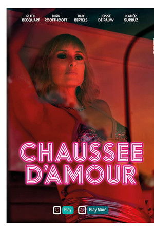 Sylvia's Cats Sylvia's Cats