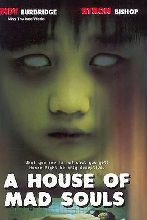 A House of Mad Souls A House of Mad Souls