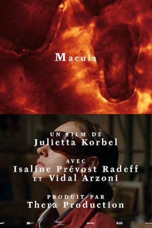 Macula Macula