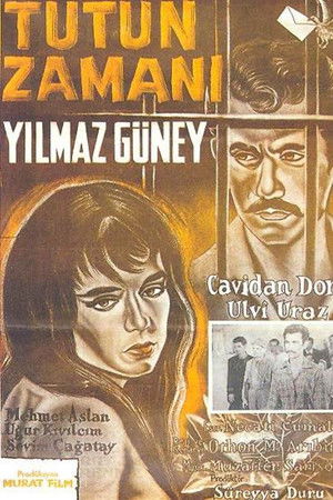 Tütün Zamanı Tütün Zamanı