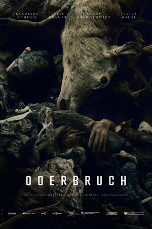 Oderbruch Oderbruch